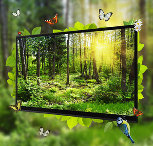 电视屏幕上的森林生活节目图片
