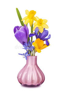 花瓶里的春花