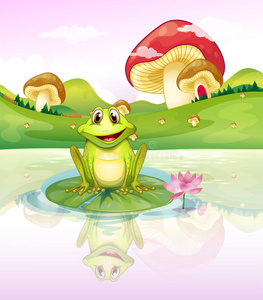 一只青蛙从水面上看他的倒影照片