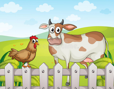 牛鸡和美丽的风景照片