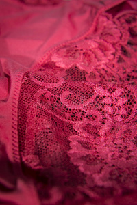 杯子 颜色 织物 文胸 魅力 粉红色 服装 缎子 奢侈 诱惑