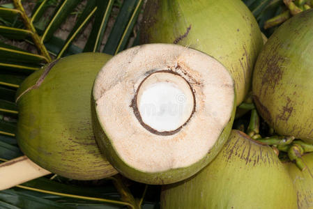 新鲜椰子的特写镜头