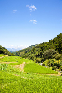 农村梯田