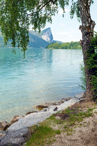 蒙得西夏季湖奥地利。