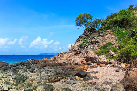 田园岩石岛和海滩图片