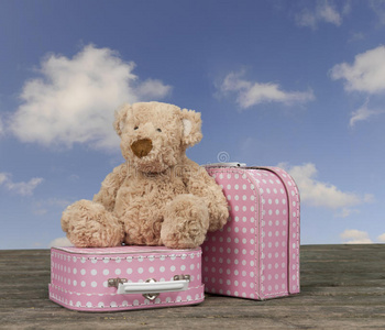 泰迪熊和粉色搭配白色圆点复古手提箱
