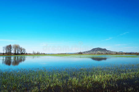 匈牙利巴拉顿湖泛滥的草地