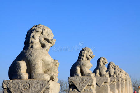 十七孔桥栏杆石狮雕塑图片