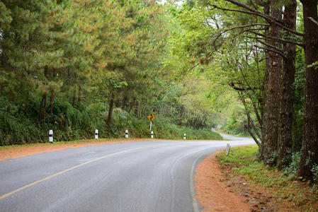 森林 开车 方向 自然 道路 沥青 街道 运输 旅行 签名