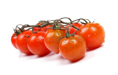新鲜成熟的樱桃番茄