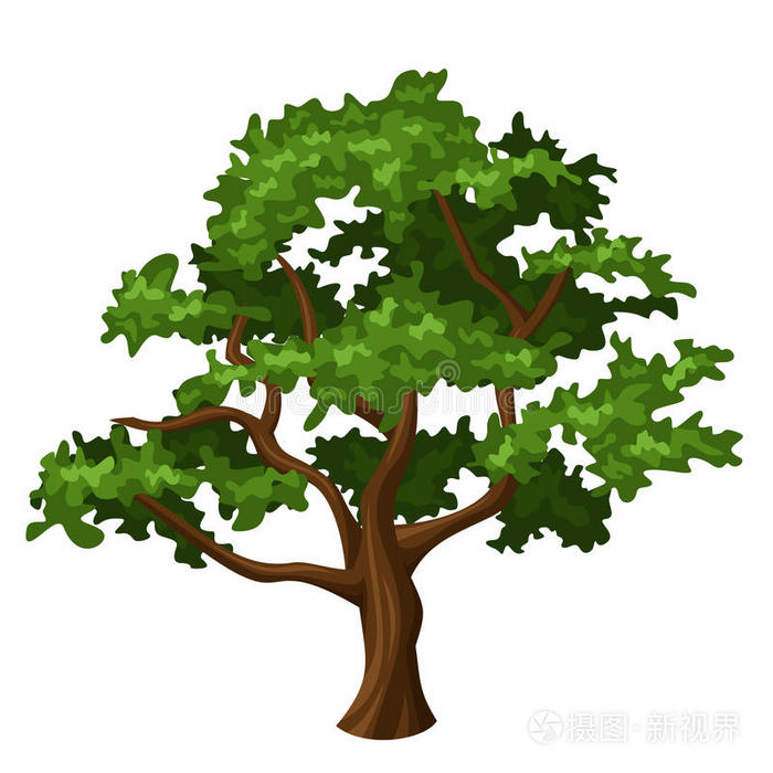 矢量橡树