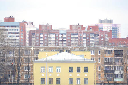 圣彼得堡郊外景色图片