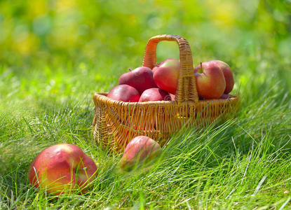 篮子里的红苹果和黄苹果