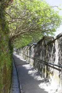 古老的 天空 苔藓 文塔 夏天 建筑学 秋天 春天 咕哝