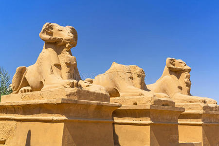 卡纳克神庙中的羊头狮身人面像