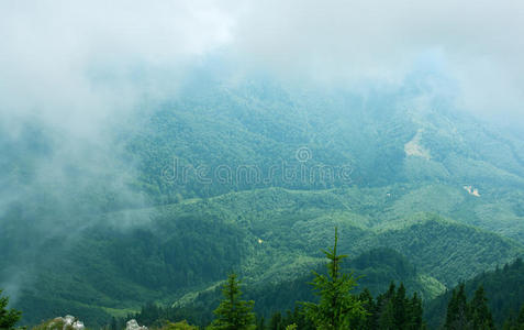 美丽的风景