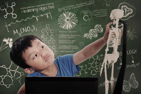 蝴蝶骨小男孩学习人体解剖学摄影图