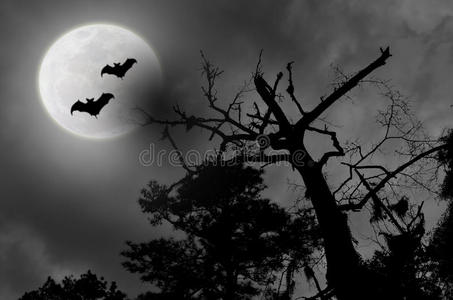 诡异的夜空多云的满月蝙蝠