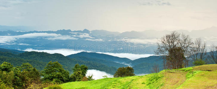 美丽的山谷泰国清道山风景