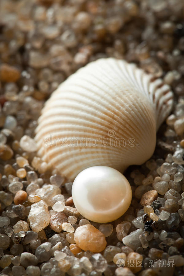 珍珠躺在沙滩上,长着鸡冠