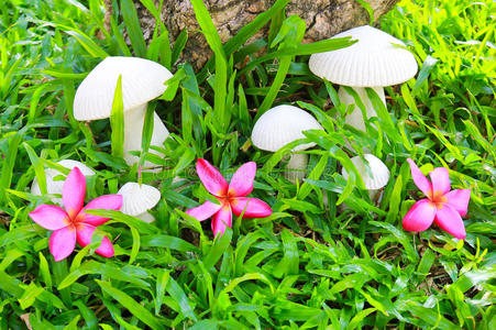 花园里的凤仙花蘑菇雕塑