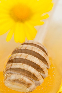 蜂蜜和鲜花