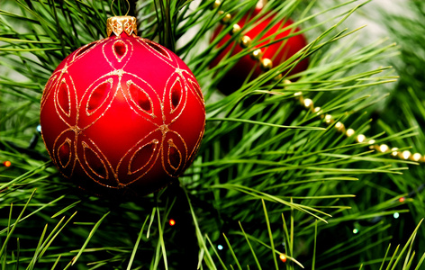 圣诞球挂在枞树上