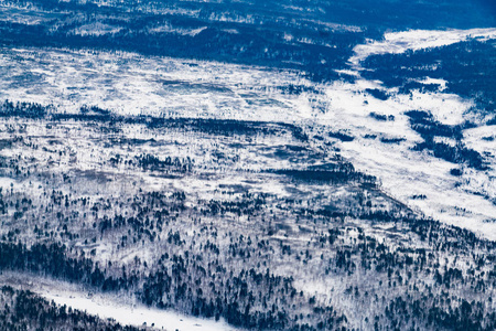 冬天森林鸟瞰与雪覆盖, 自然风景背景