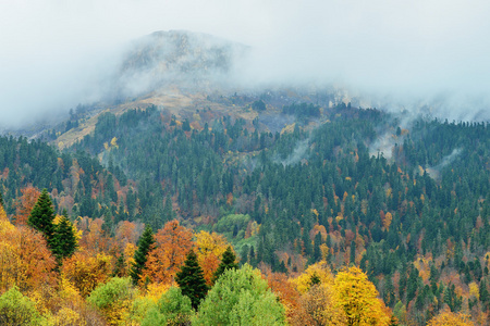 俄罗斯 Adygea 山的顶峰