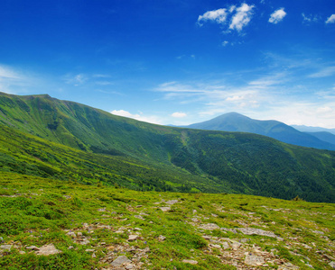 在夏天山风景