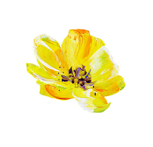 黄花郎手绘现代风格黄花照片