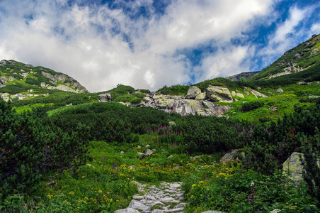 在 Mengusovska 山谷的夏天景观。塔特拉山。Slovaki