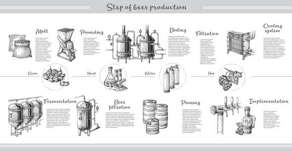啤酒图表与酿酒过程插图的研究图片