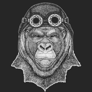 大猩猩, 猴子, 猿可怕的动物手画纹身, 徽章, 徽章, 标志, 补丁凉爽的动物穿着飞行员, 摩托车, 车手头盔