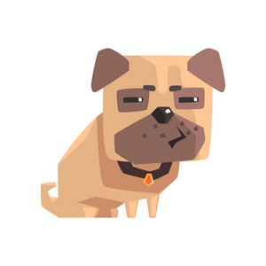 可疑小宠物哈巴狗狗小狗项圈表情卡通插画照片