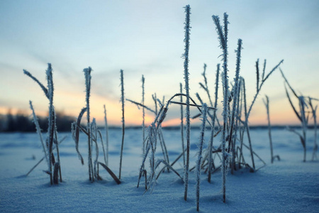 白雪皑皑的冬天风景