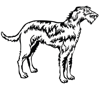 爱尔兰狼狗矢量说明的装饰立画像