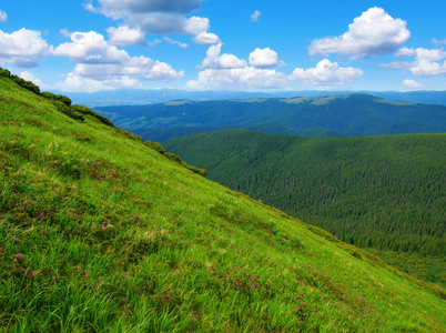 在夏天山风景