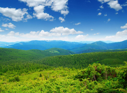 在夏天山风景