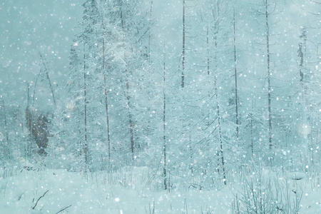 白雪皑皑的冬季风景图片