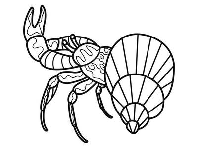 在河底的甲壳类动物.癌症或虾.蟹黑线系列照片