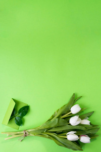 春季背景带花, 白色郁金香和礼品卡的绿色背景。生日贺卡, 妇女或母亲日。平躺式。具有复制空间的顶部视图