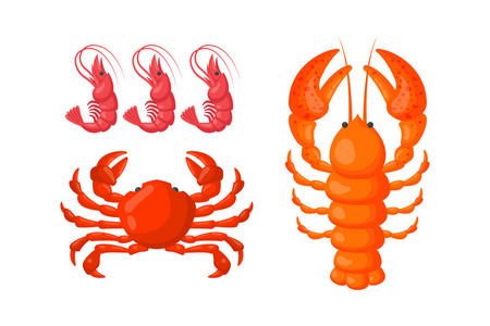 龙虾 对虾 螃蟹矢量平面插画