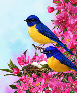 两个明亮的蓝色小鸟坐在红苹果花的一个分支