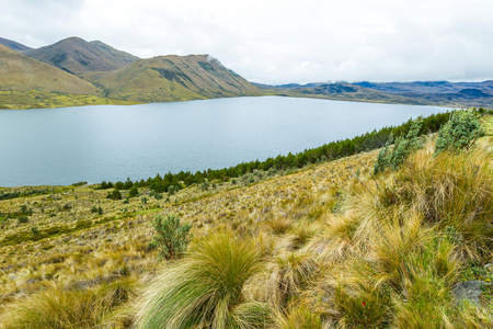Pisayambo 人造湖厄瓜多尔安第斯山脉