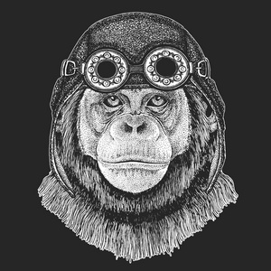 黑猩猩猴子手画的纹身插图, 徽章, 徽章, 标志, 补丁, t恤酷的动物穿着飞行员, 摩托车, 骑自行车头盔