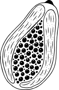 木瓜着色页。为成人着色书籍的线条艺术。tr