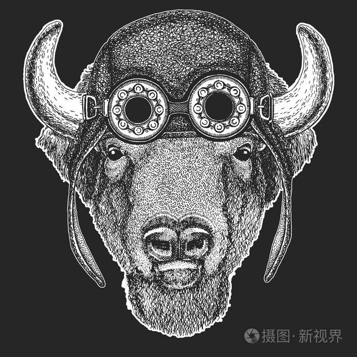 水牛, 野牛, 公牛, 公牛手画纹身, 徽章, 徽章, 标志, 补丁的图像