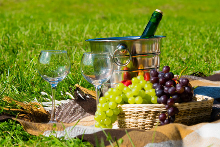 野餐在自然与一瓶酒和果子在篮子里