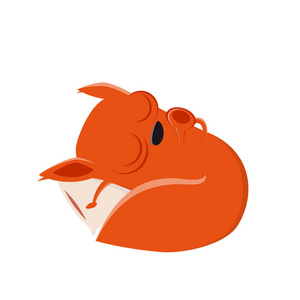 滑稽的卡通松鼠在睡觉照片